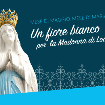 I pellegrini onorano la Vergine Maria a Lourdes