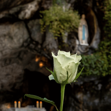 Le 8 décembre offrande florale à l’Immaculée Conception à Lourdes